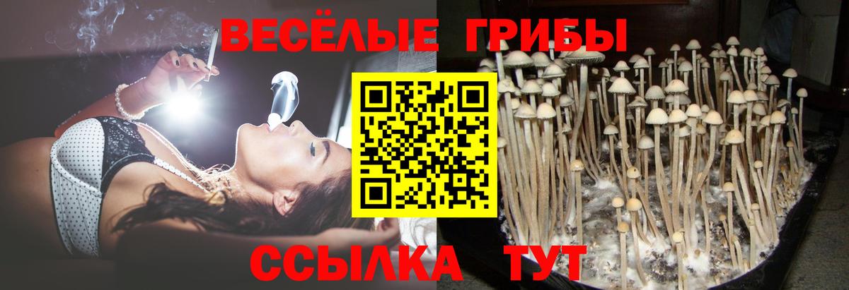 Елизово  Галлюциногенные грибы GOLDEN TEACHER  Псилоцибиновые грибы Magic Shrooms  Вход с VPN 